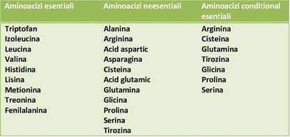 lista aminoacizi